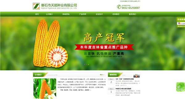 如何在網(wǎng)站建設(shè)中借鑒別人策劃的幾個(gè)方法